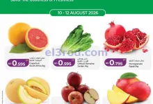 el3rod.com00002