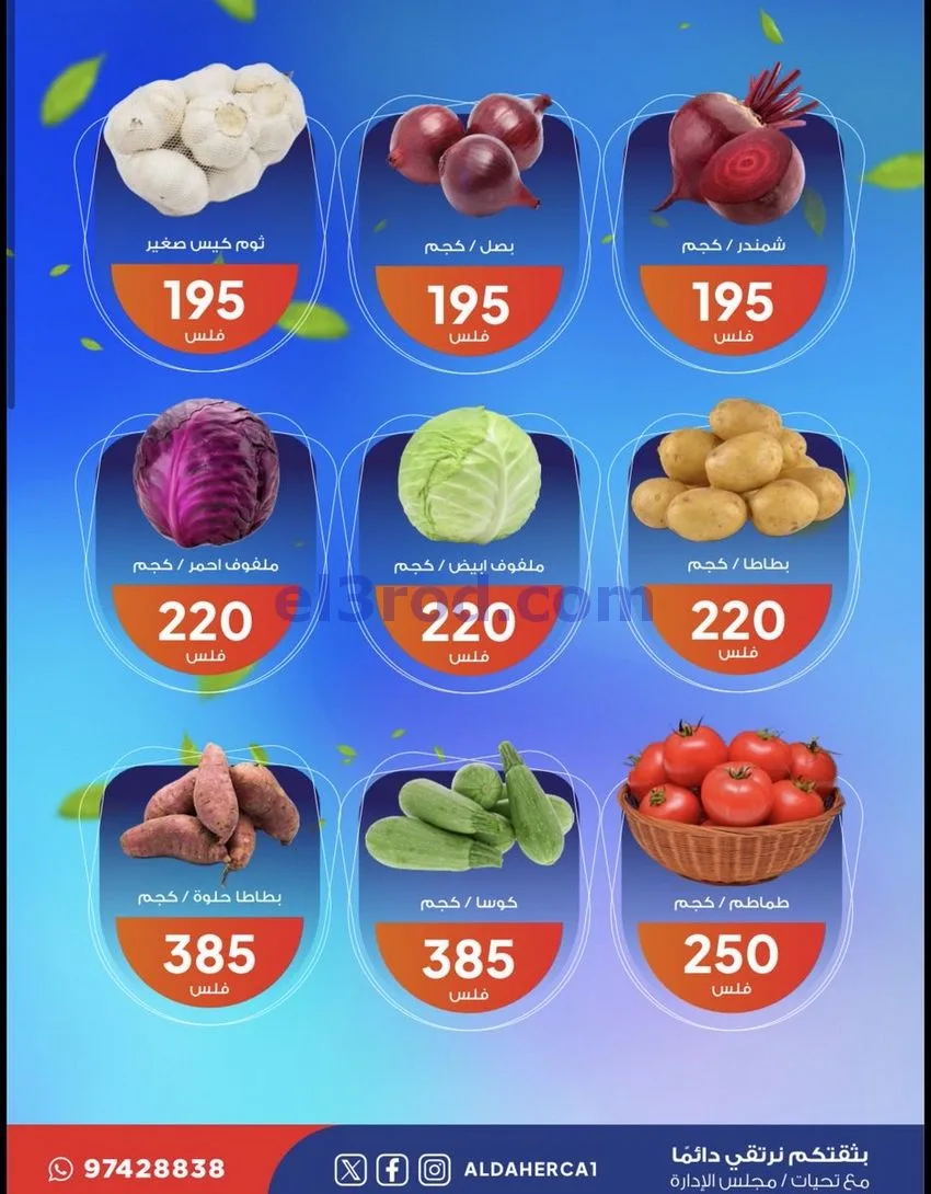 عروض جمعية ضاحية الظهر التعاونية|11-8-2026