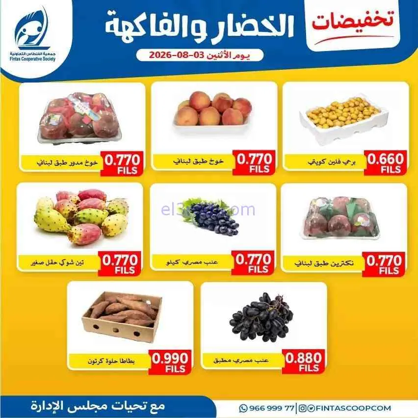 عروض جمعية الفنطاس التعاونية|3-8-2026