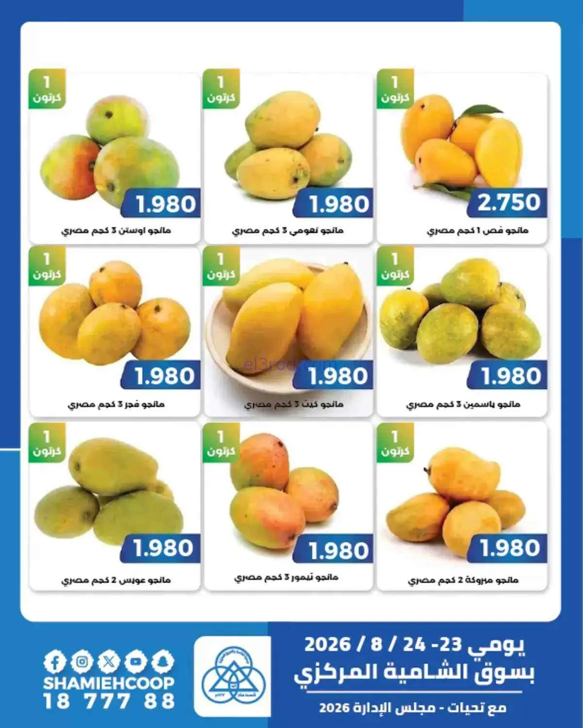 عروض جمعية الشامية والشويخ|مانجو|حتى 24-8-2026