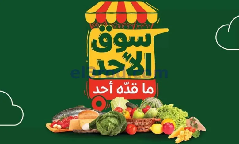 el3rod.com00003