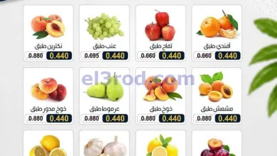 el3rod.com00003