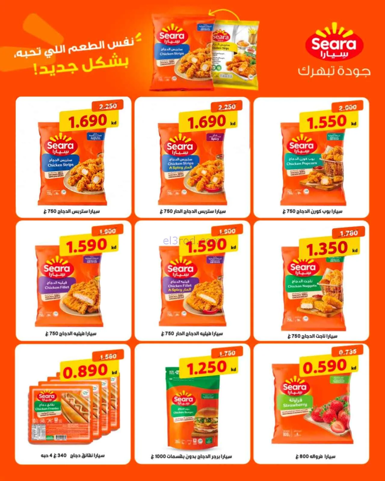 عروض جمعية الاندلس والرقعي|9 حتى 10-8-2026