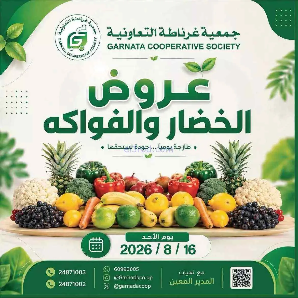 عروض جمعية غرناطة التعاونية|16-8-2026