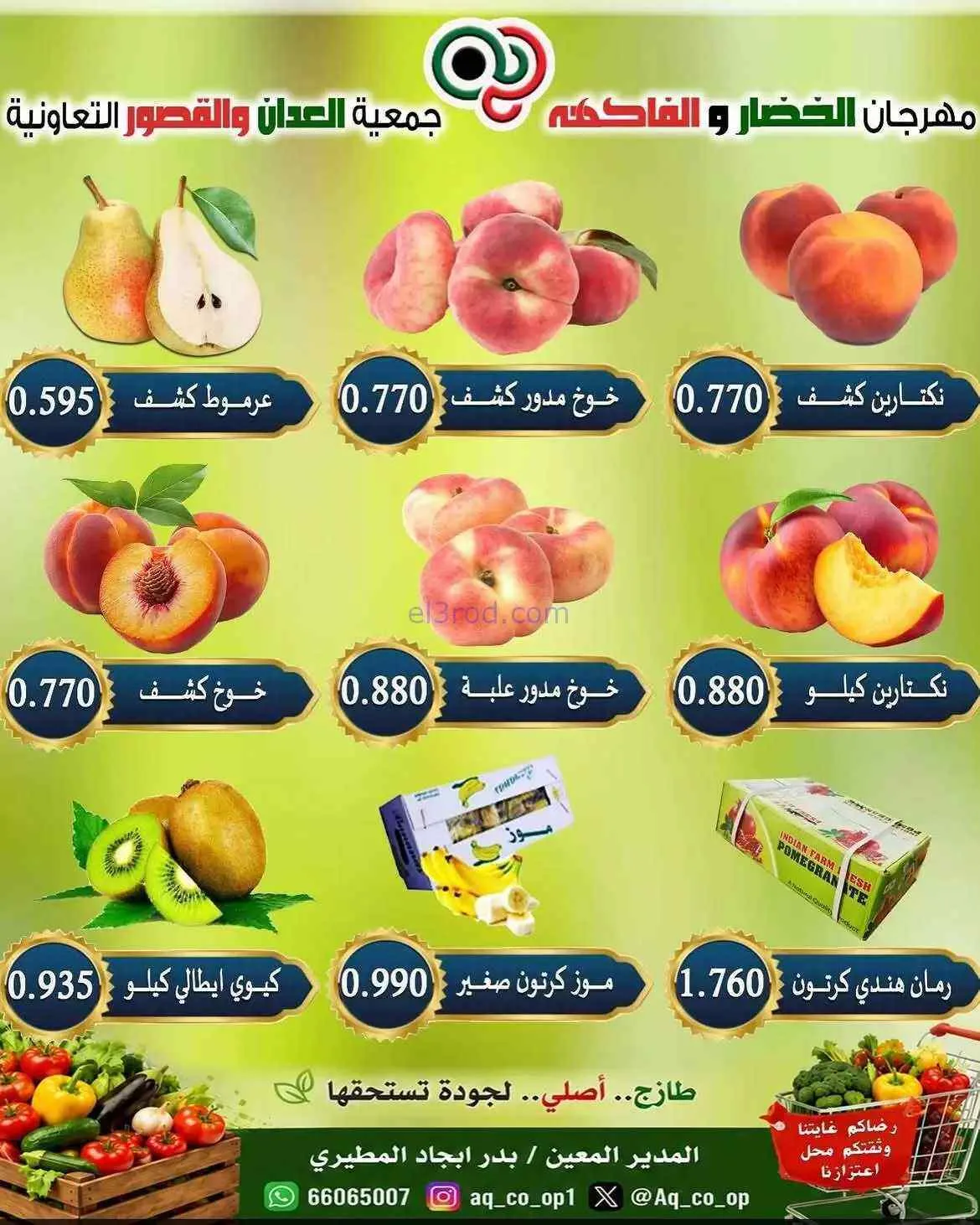 عروض جمعية العدان والقصور التعاونية|16-8-2026
