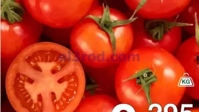 el3rod.com00005