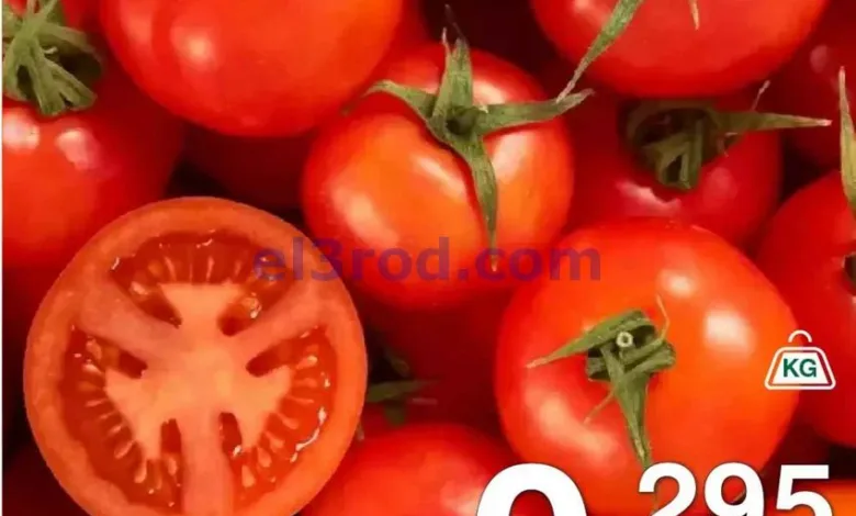 el3rod.com00005