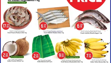 عروض سفاري قطر|24-8-2026 el3rod.com00005