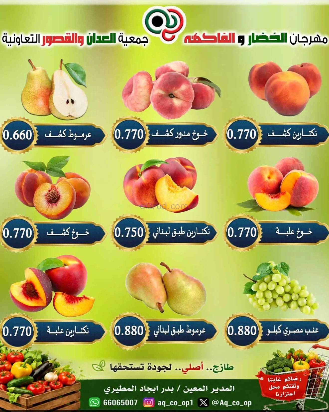 عروض جمعية العدان والقصور التعاونية|30-8-2026