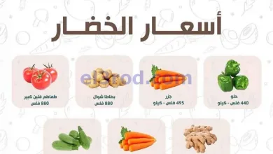 el3rod.com00006