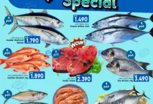 el3rod.com00001