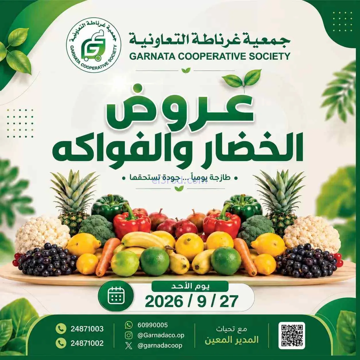 عروض جمعية غرناطة التعاونية|27-9-2026