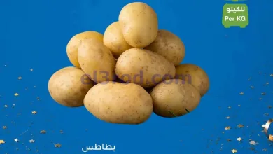 el3rod.com00001