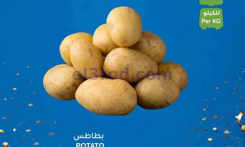 el3rod.com00001