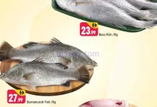 el3rod.com00001