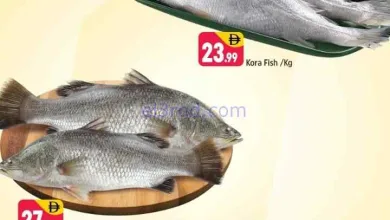 عروض شكلان E07، مدينة عالمية، حي صيني|5-9-2026 el3rod.com00001