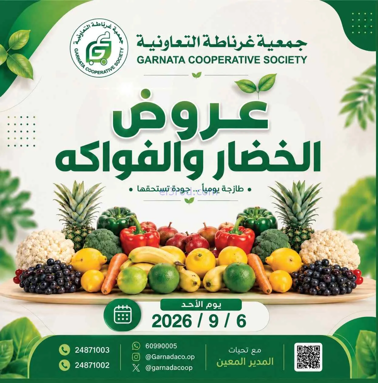 عروض جمعية غرناطة التعاونية|6-9-2026