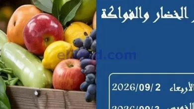el3rod.com00001