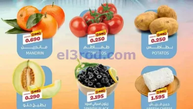 el3rod.com00001