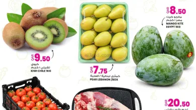 عروض انصار جاليرى قطر|13 حتى 14-9-2026 el3rod.com00001