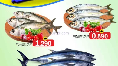 el3rod.com00001