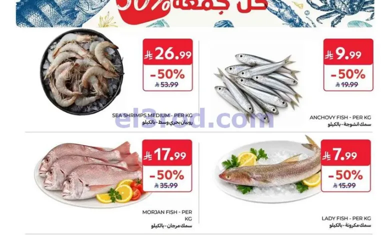 el3rod.com00001