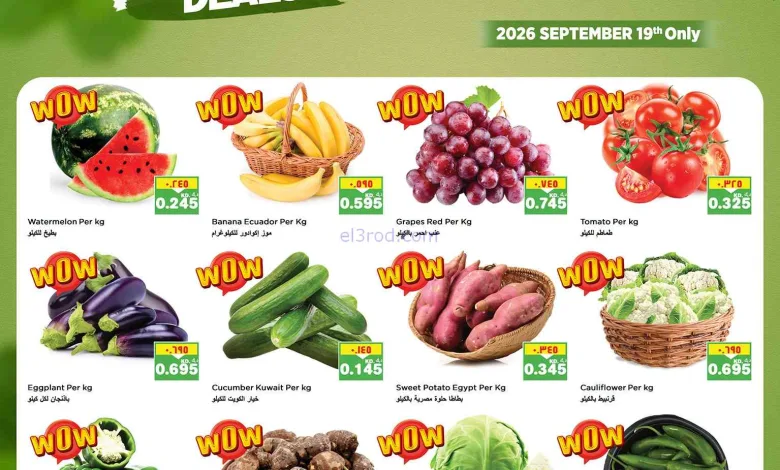 عروض نستو الكويت|فريش|19-9-2026 el3rod.com00001