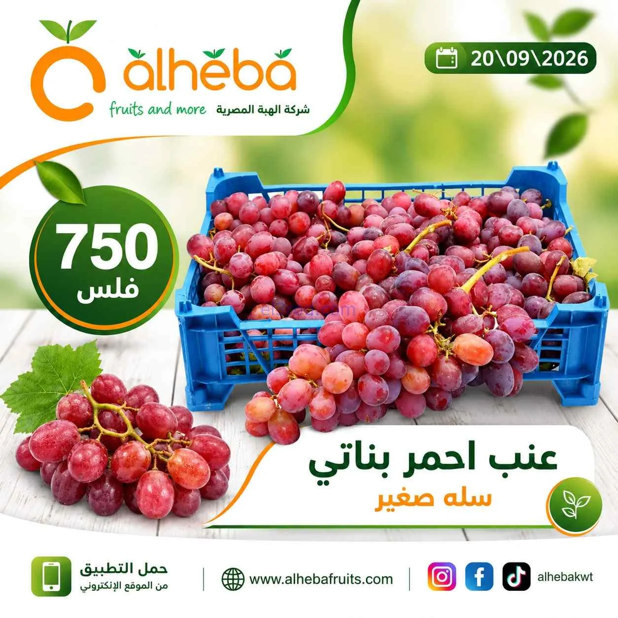 عروض شركة الهبة المصرية الكويت|20-9-2026