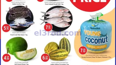 el3rod.com00001