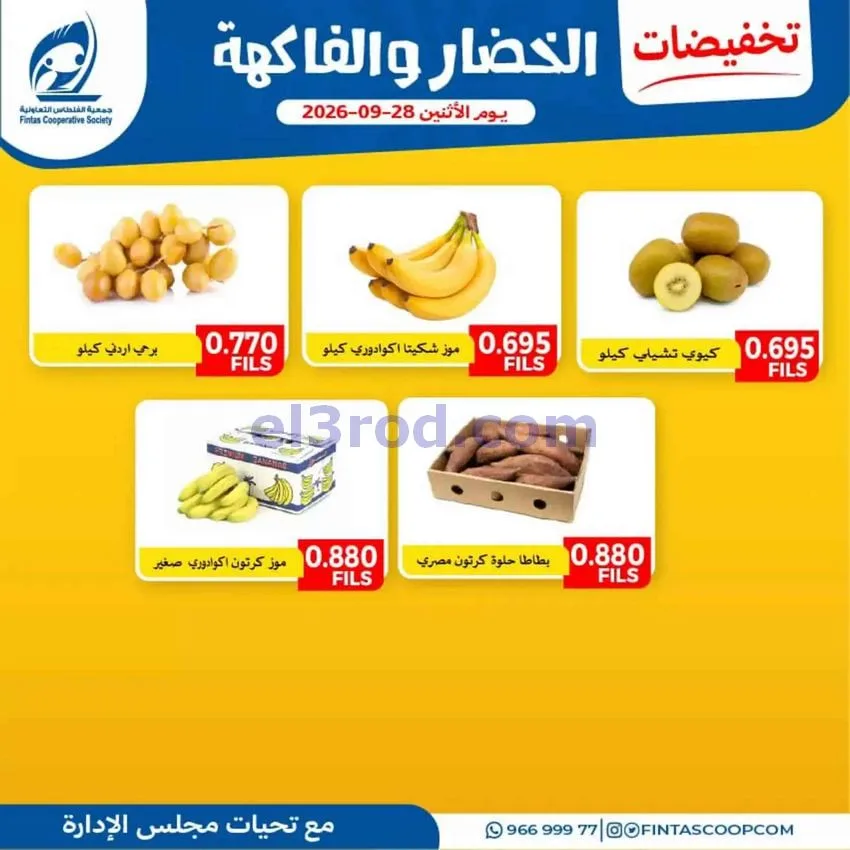 عروض جمعية الفنطاس التعاونية|28-9-2026