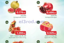 el3rod.com00002