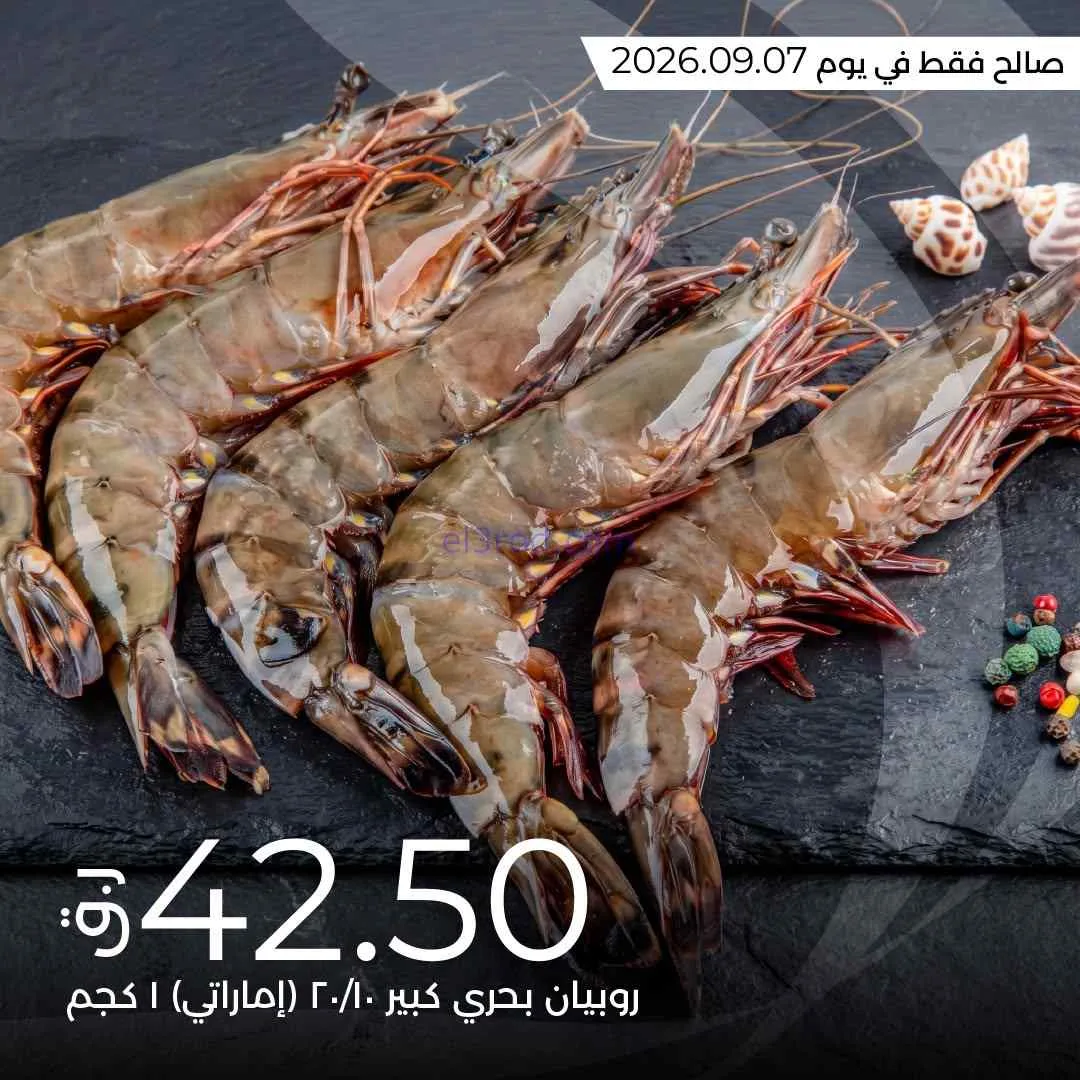 عروض لولو قطر|روبيان البحر طازج كبير|7-9-2026