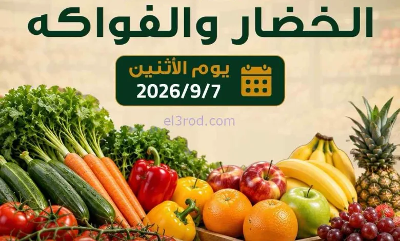 el3rod.com00003