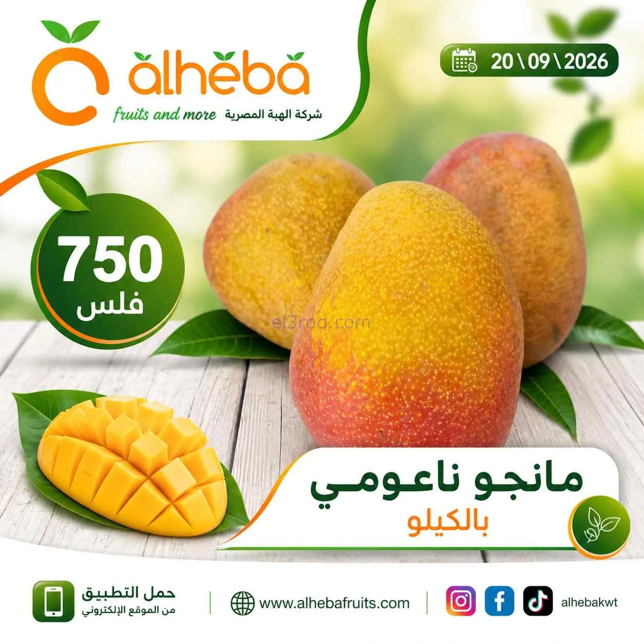 عروض شركة الهبة المصرية الكويت|20-9-2026