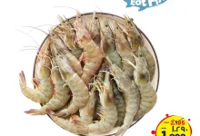 el3rod.com00003