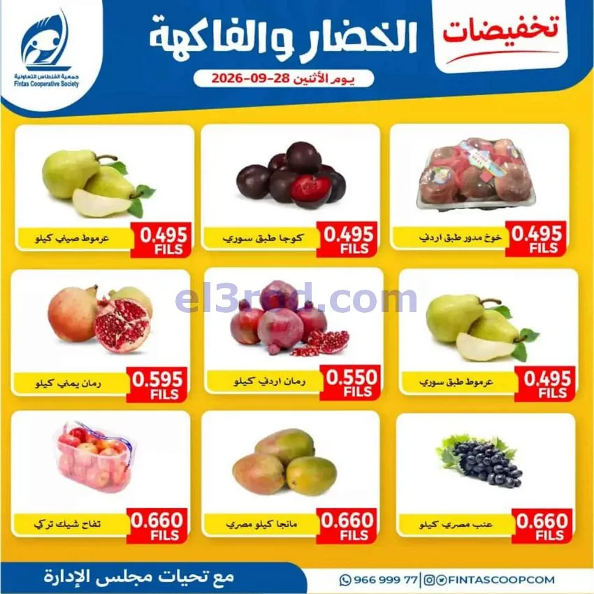 عروض جمعية الفنطاس التعاونية|28-9-2026