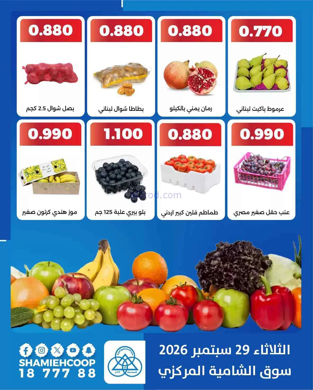 عروض جمعية الشامية والشويخ التعاونية|29-9-2026