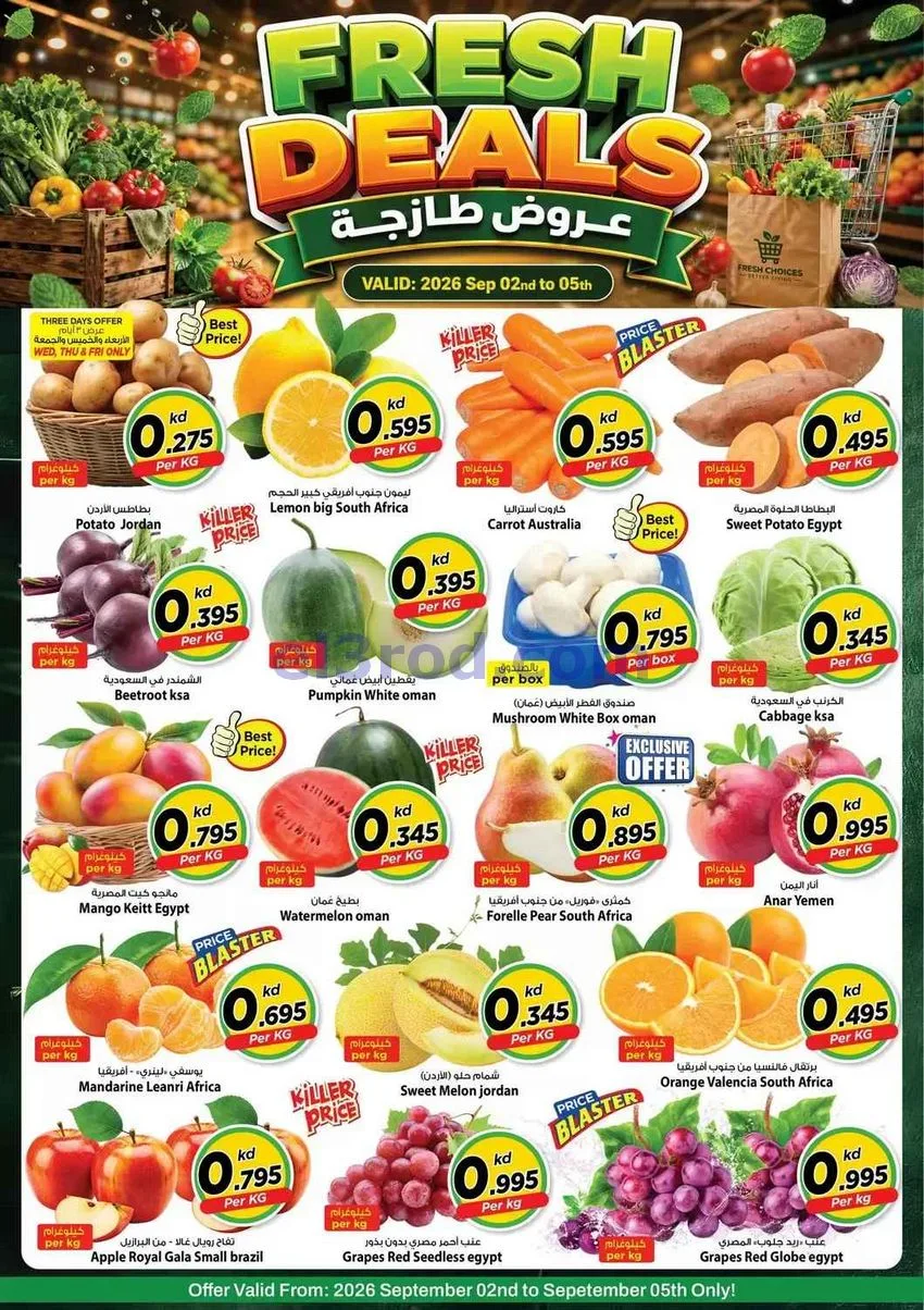 عروض مارك اند سيف الضجيج|2 حتى 8-9-2026