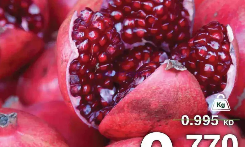 el3rod.com00005