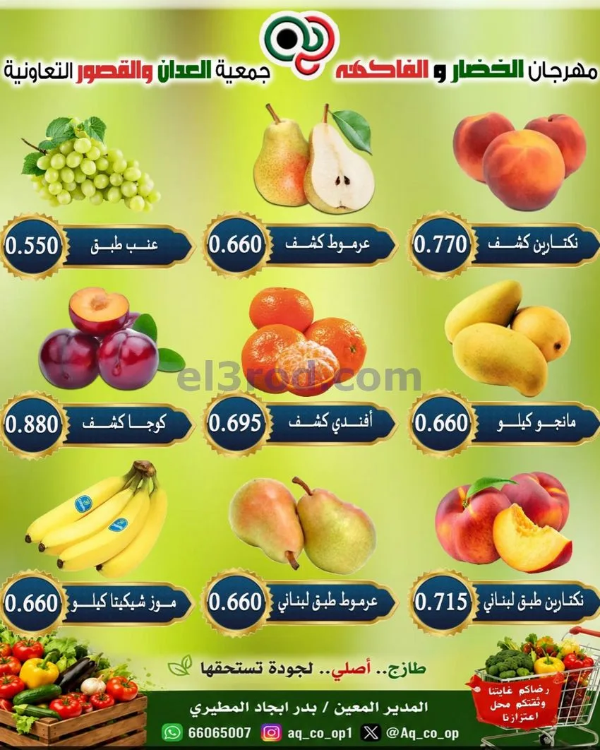عروض جمعية العدان والقصور التعاونية|20-9-2026