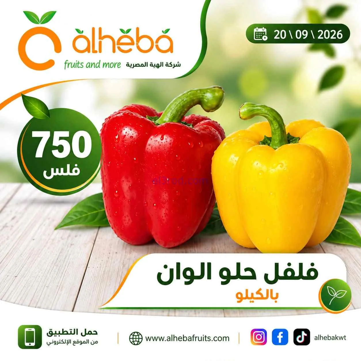 عروض شركة الهبة المصرية الكويت|20-9-2026