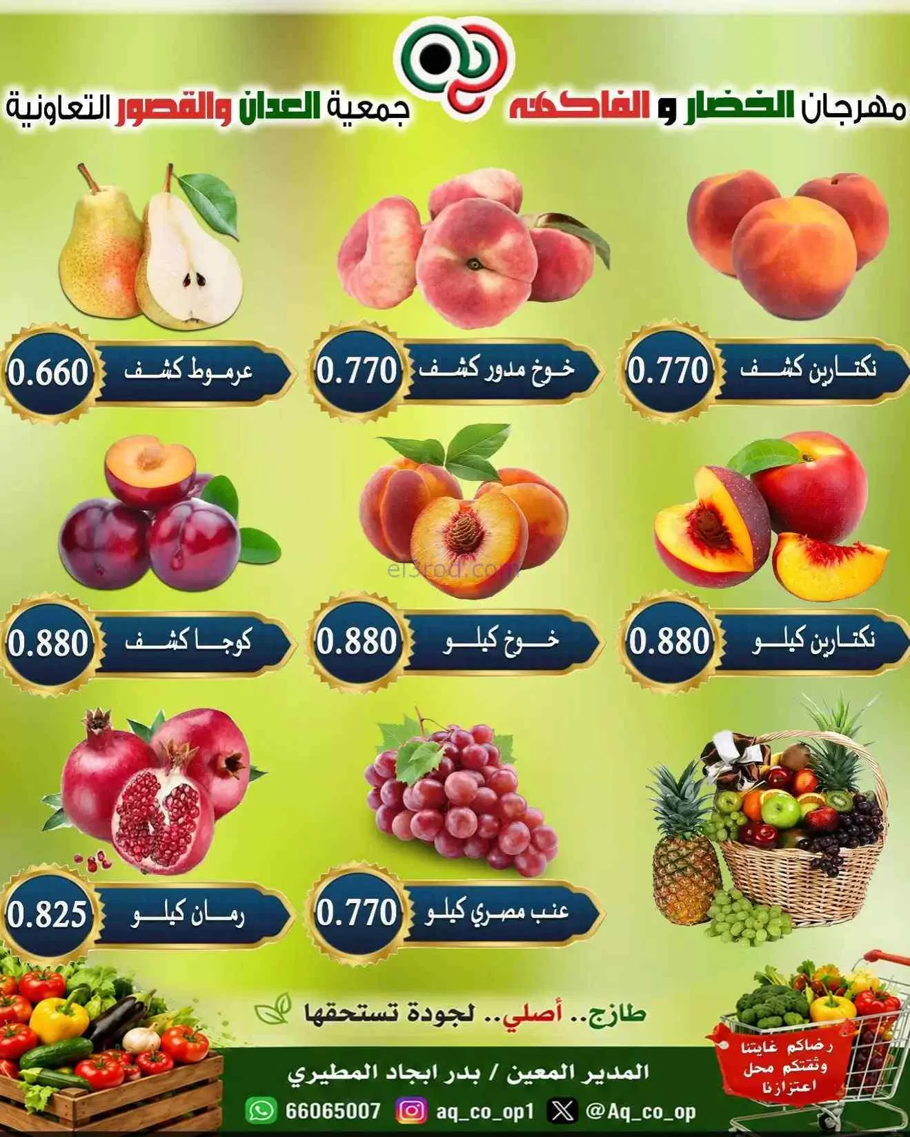 عروض جمعية العدان والقصور التعاونية|13-9-2026