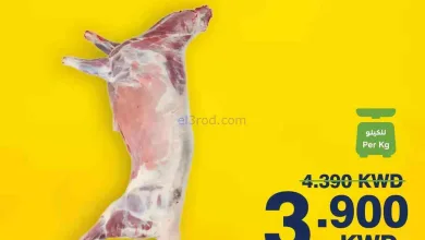 el3rod.com00006