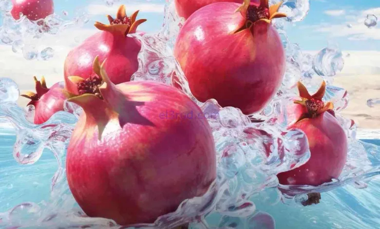 عروض جمعية العديلية التعاونية|8-9-2026 el3rod.com00007