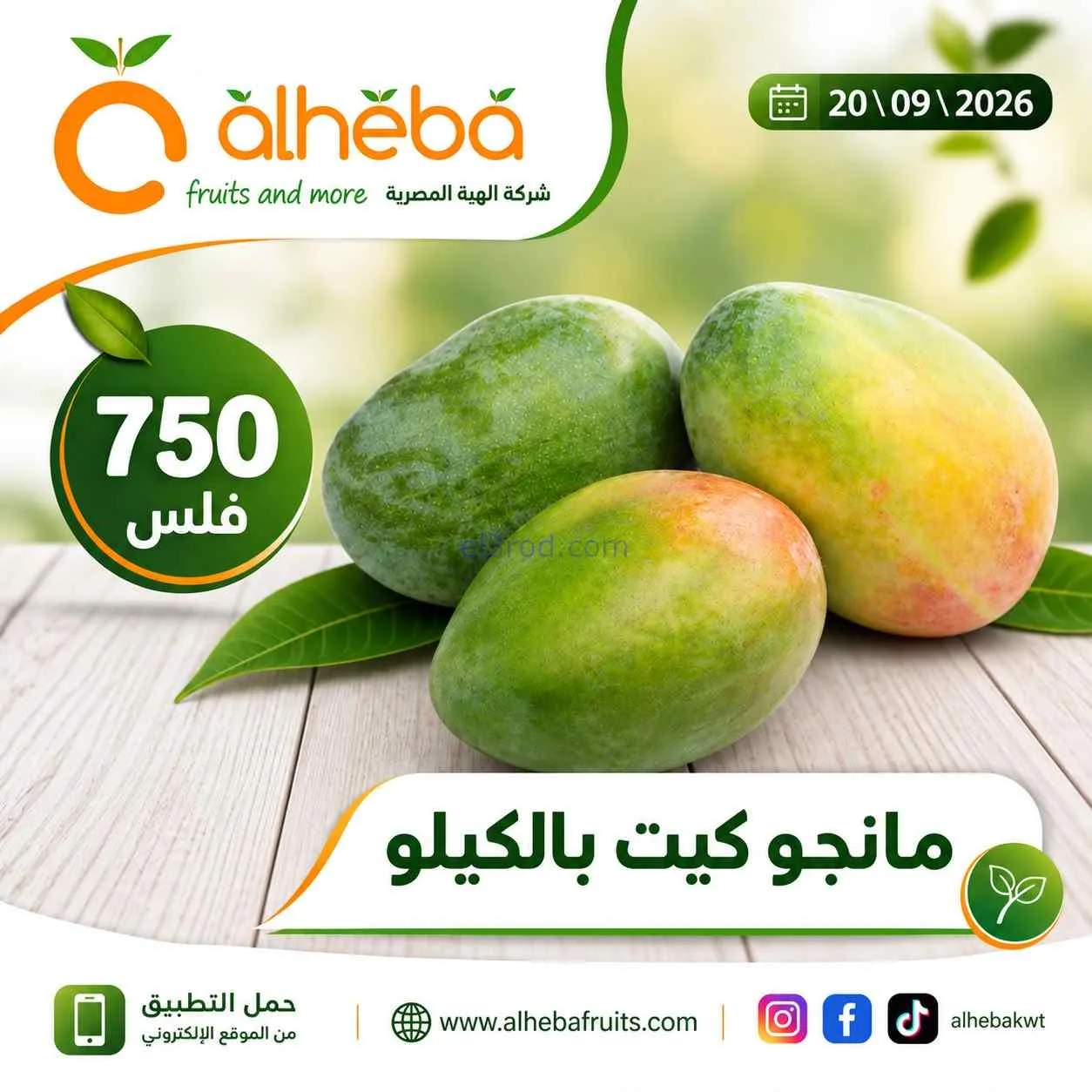 عروض شركة الهبة المصرية الكويت|20-9-2026