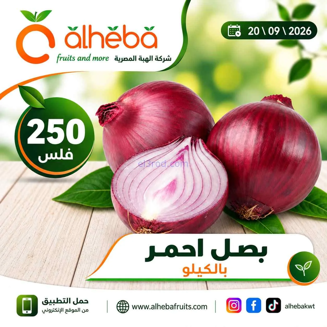 عروض شركة الهبة المصرية الكويت|20-9-2026
