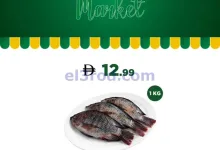 el3rod.com00010