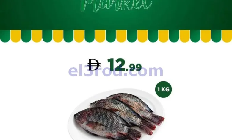 el3rod.com00010