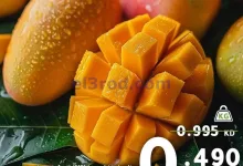 el3rod.com00010