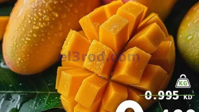 el3rod.com00010